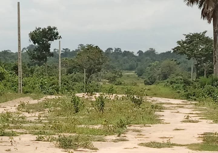 yamoussoukro  Logbakro Belle-Fontaine